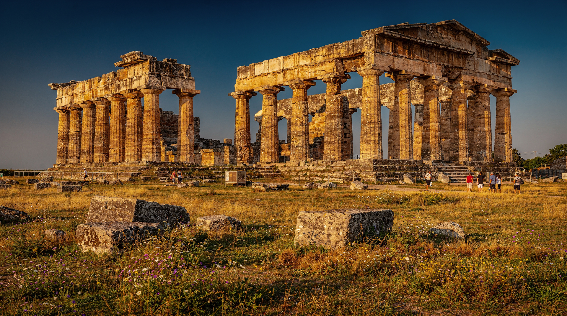 From Naples: Paestum and Mozzarella Tasting Day Tour