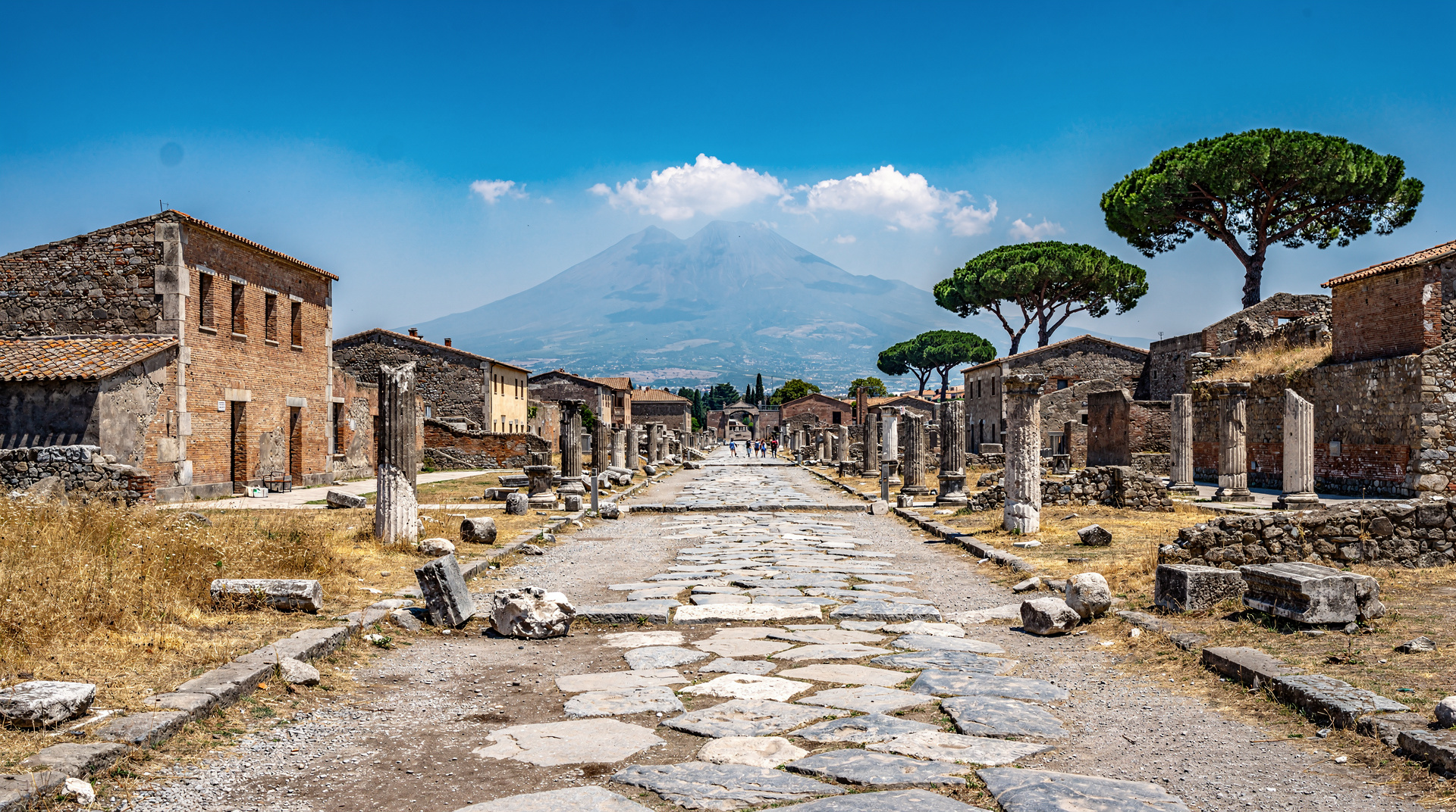 La Campania antigua: Pompeya, Herculano, el Vesubio y Oplontis — Una inmersión arqueológica de dos días: Pompeya, Herculano, el cráter del Vesubi